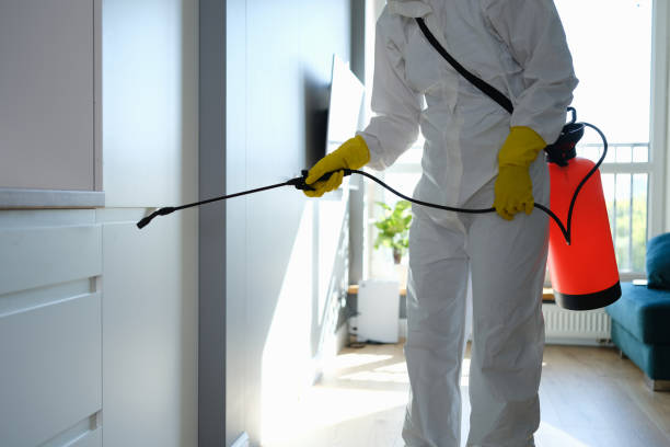 Mold Remediation for Vacation Homes in North Bethesda, MD